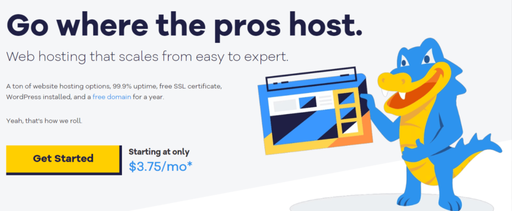 HostGator 1 HostGator (1)