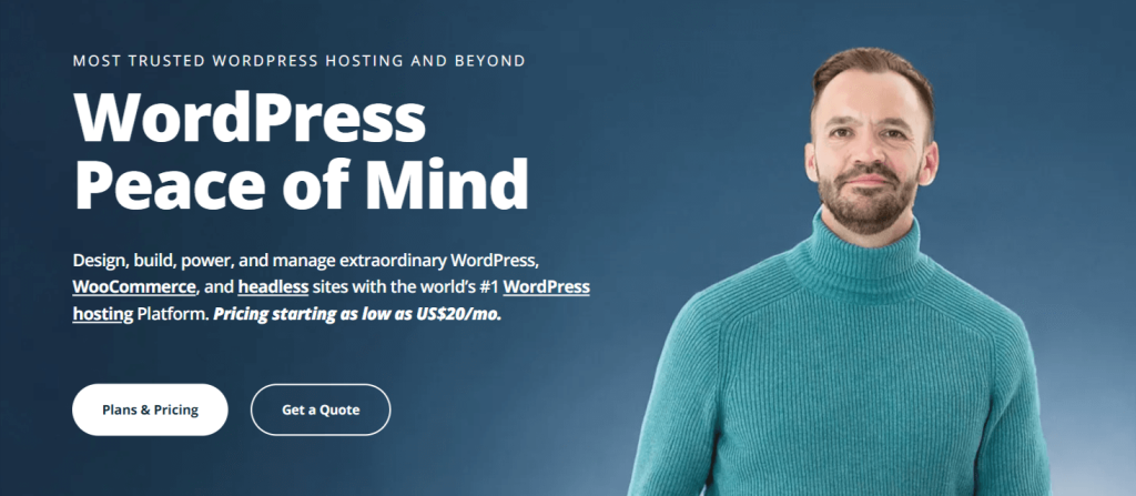 wp engine 1 wp engine (1)