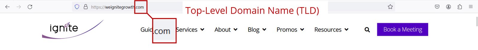 Example of Top Level Domain Name TLD 1