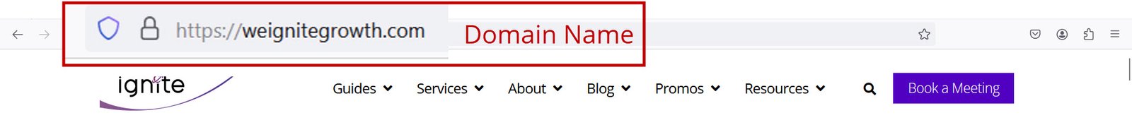 Example of a domain name