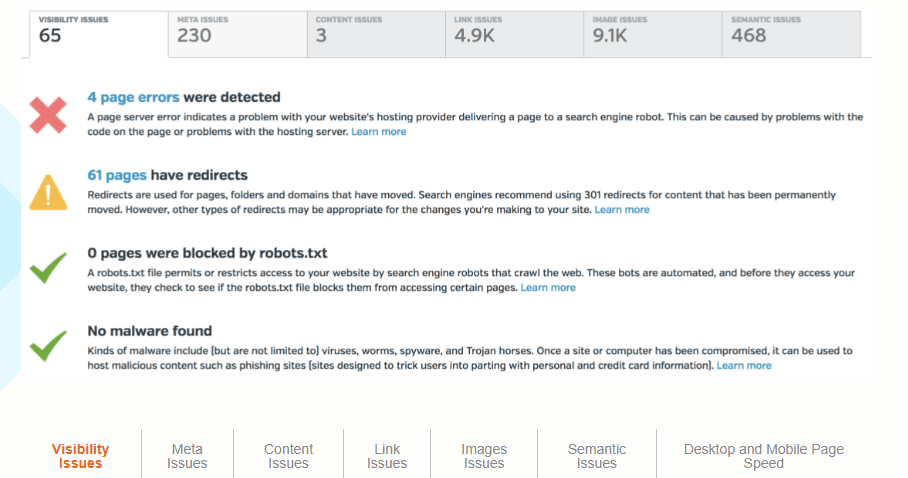 Raven tools site audit (1)